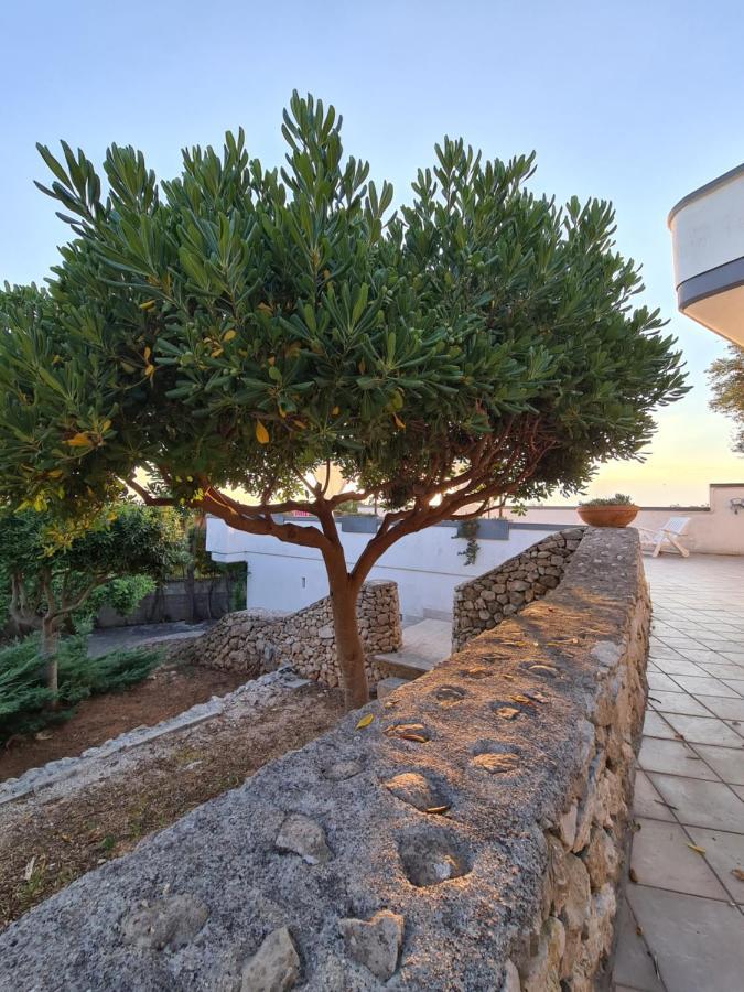 Villa Panoramica Sunset House Торре-Вадо Екстер'єр фото